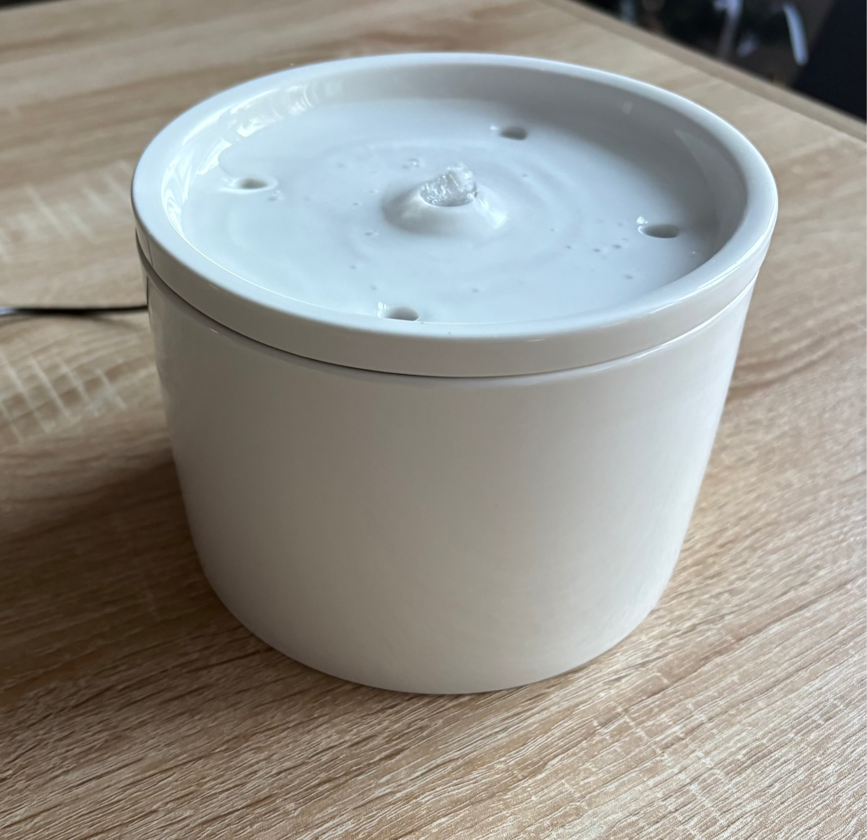 Fontaine à eau en céramique pour chat